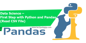 techjunkgigs-blog-Python-pandas-library-read-CSV-file-post-banner-